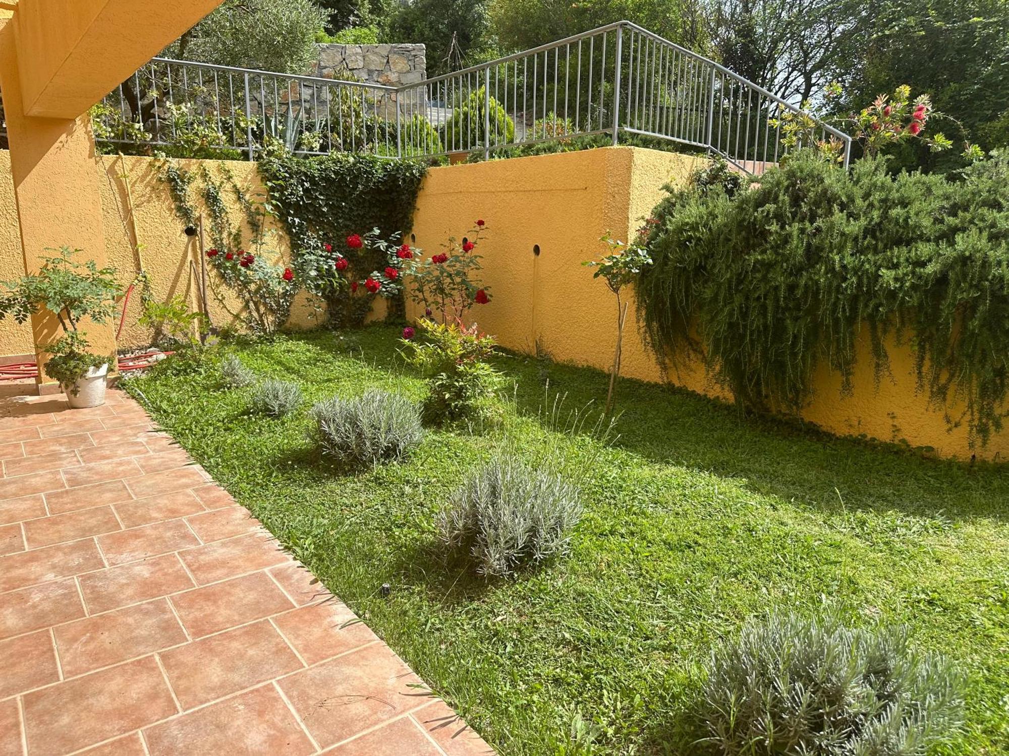 Villa Risan Apartments מראה חיצוני תמונה